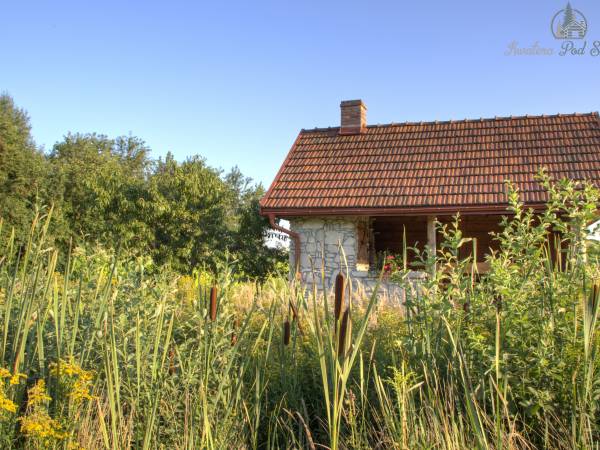 Kwatera Pod Sośniną