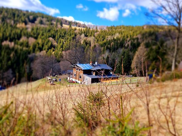 Apartament Mountains Góry Sowie