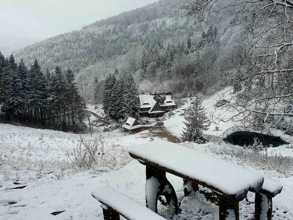 Apartament Mountains Góry Sowie