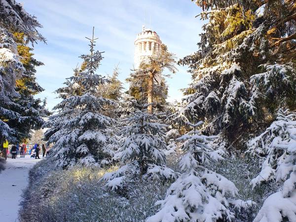 Apartament Mountains Góry Sowie