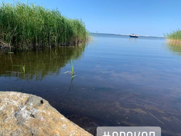 Agroturystyka Lisia Góra