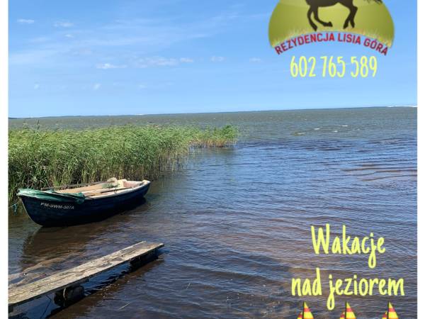 Agroturystyka Lisia Góra