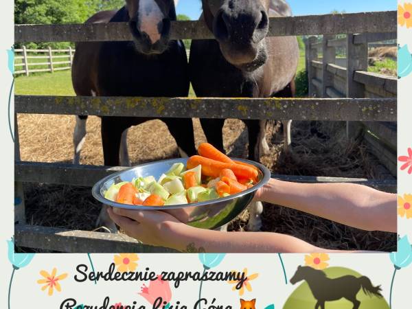 Agroturystyka Lisia Góra