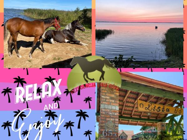 Agroturystyka Lisia Góra