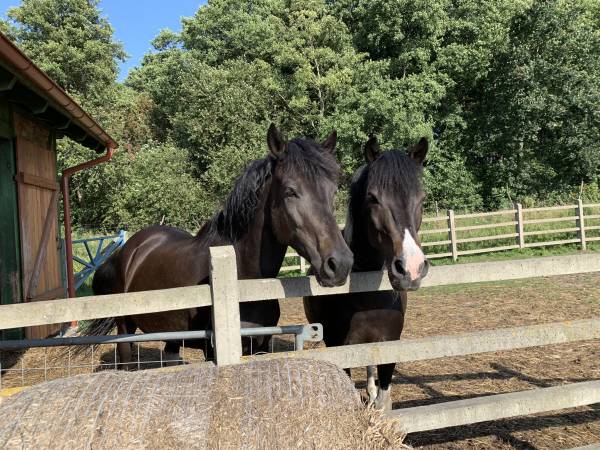 Agroturystyka Lisia Góra