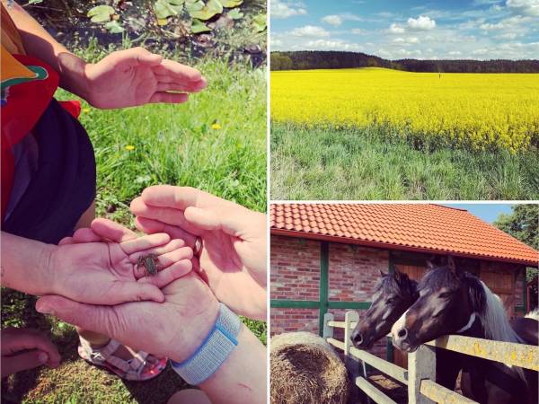 Agroturystyka Lisia Góra