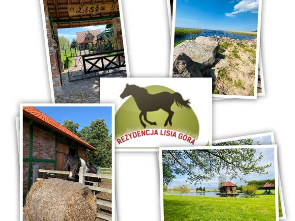 Agroturystyka Lisia Góra