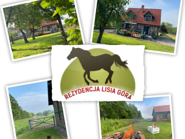 Agroturystyka Lisia Góra