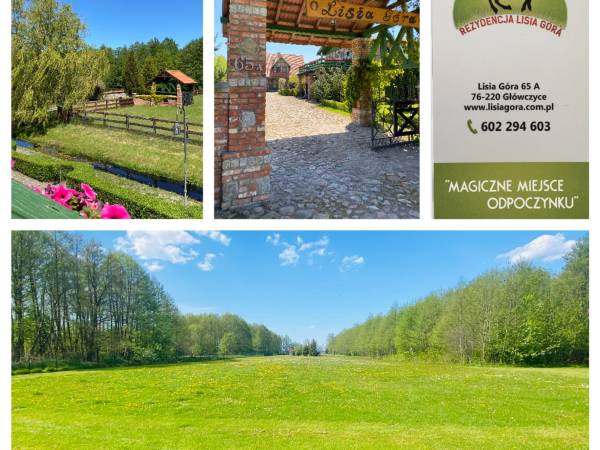 Agroturystyka Lisia Góra