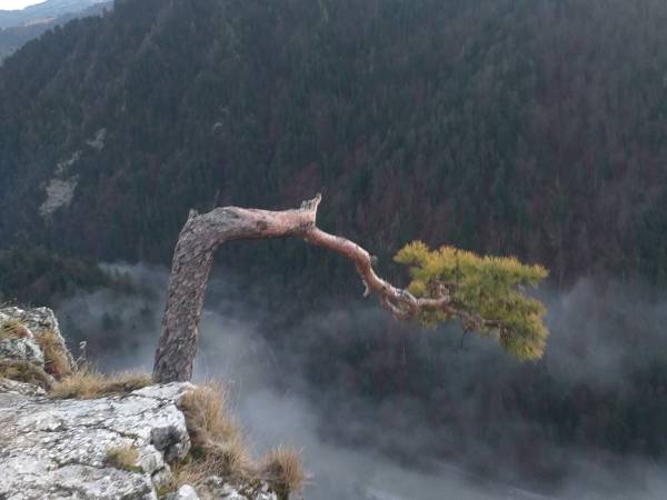 Domki w Pieninach Całoroczne 