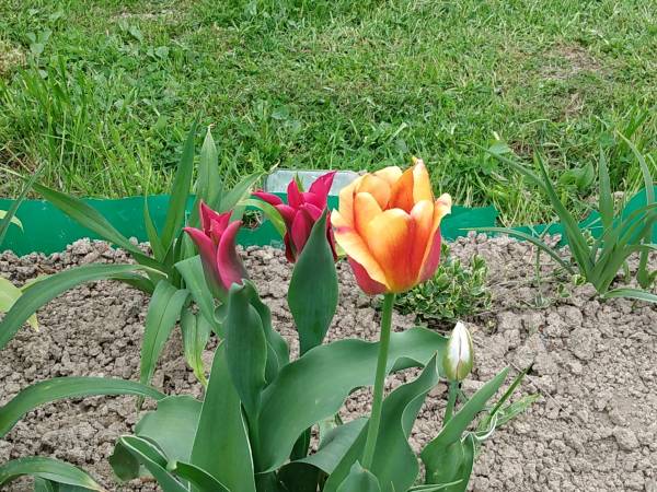 Domki w Bieszczadzkiej Dolinie