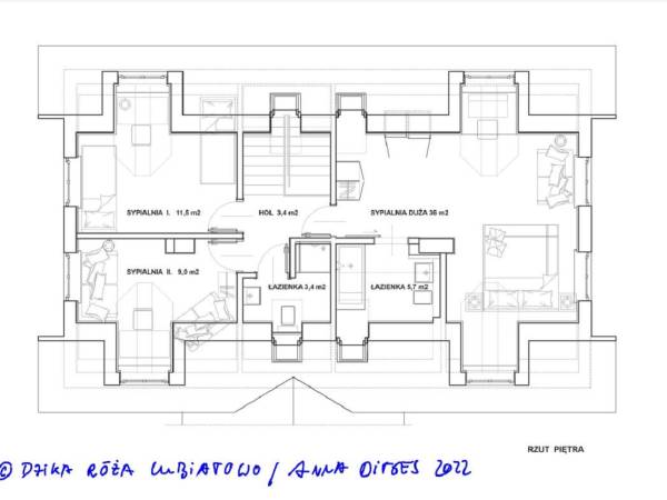 Dzika Róża Lubiatowo