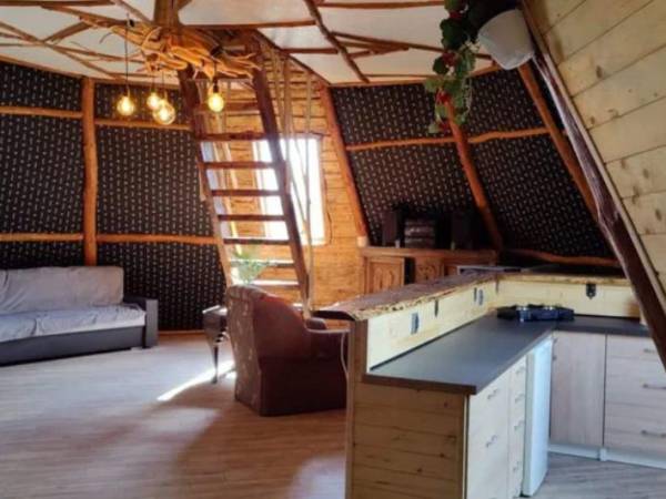 TIPI domek letniskowy na wynajem