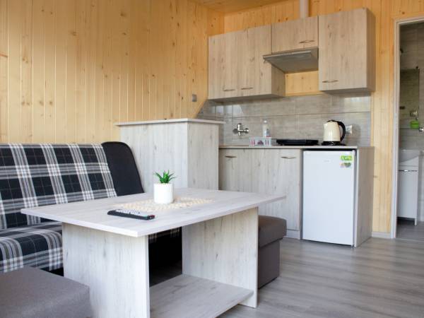 Salon z aneksem kuchennym w domku