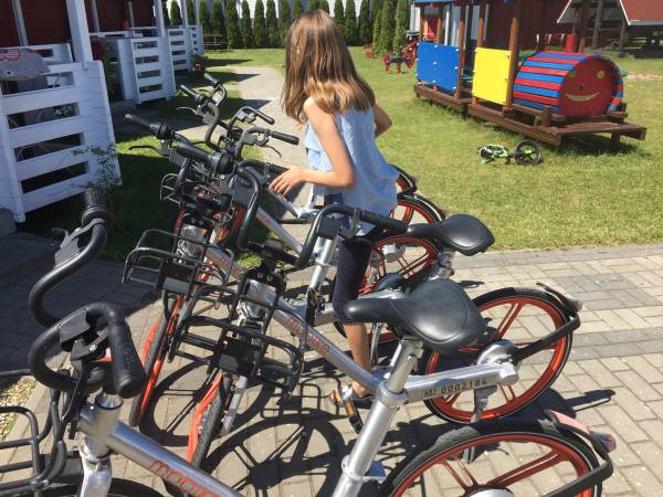 Domki Groszek rowery