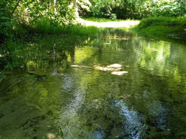 Agroturystyka Pod Sosnami, Młyńska Chata Domek