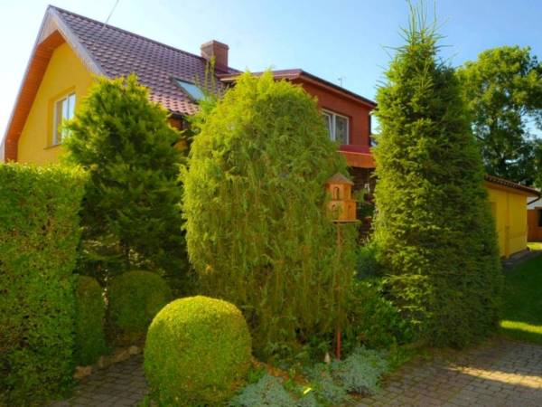 Zielony teren przed domem.