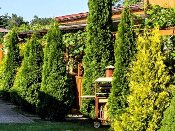 Widok na altanki przed domkami.