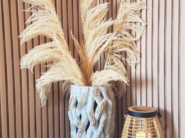 Pokoje Gościnne Zamiejska