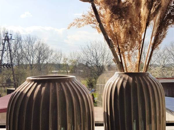 Pokoje Gościnne Zamiejska