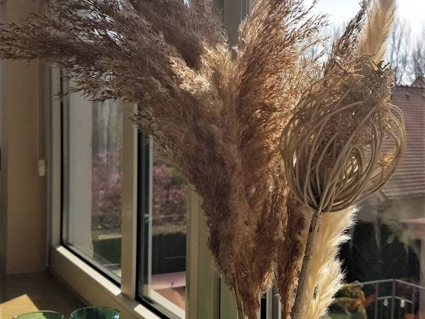 Pokoje Gościnne Zamiejska