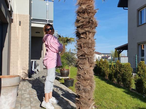 Apartamenty Mieszko Rowy