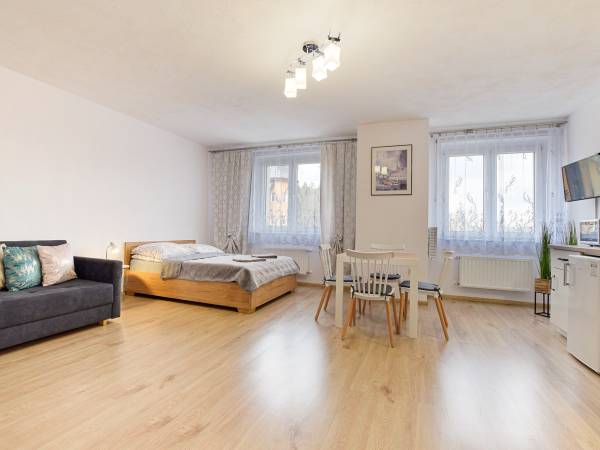 Apartament-studio 4 os.
