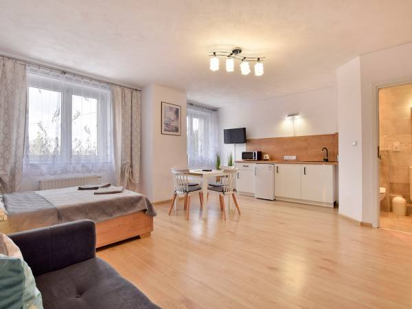 Apartament-studio 4 os.