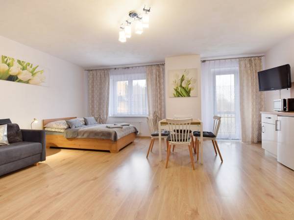 Apartament-studio 4-os. z balkonem