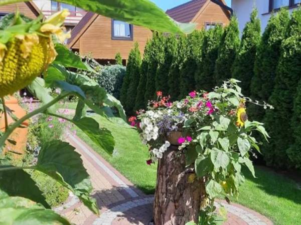 Domki Blanka Jastarnia