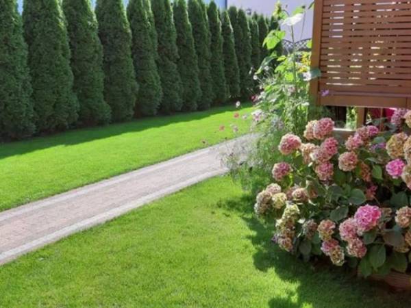 Domki Blanka Jastarnia