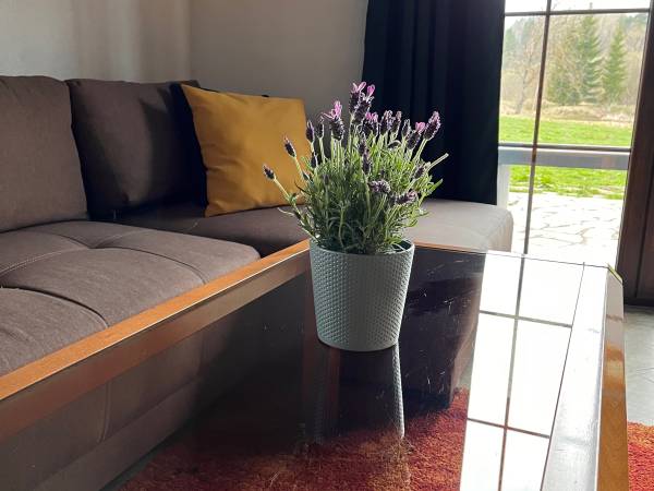 Salon apartamentu Drewno