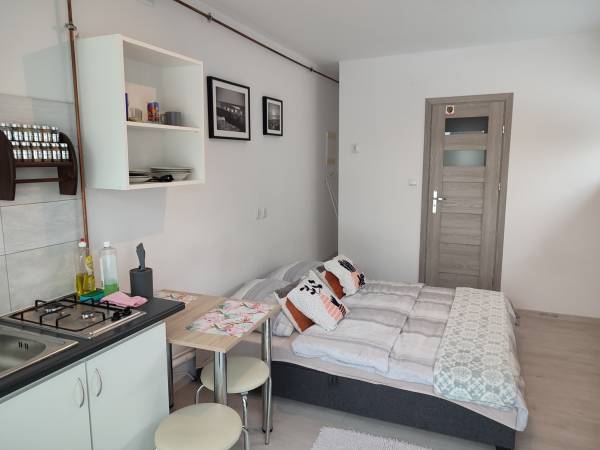 Pokój 2 osobowy z łazienką i aneksem kuchennym 