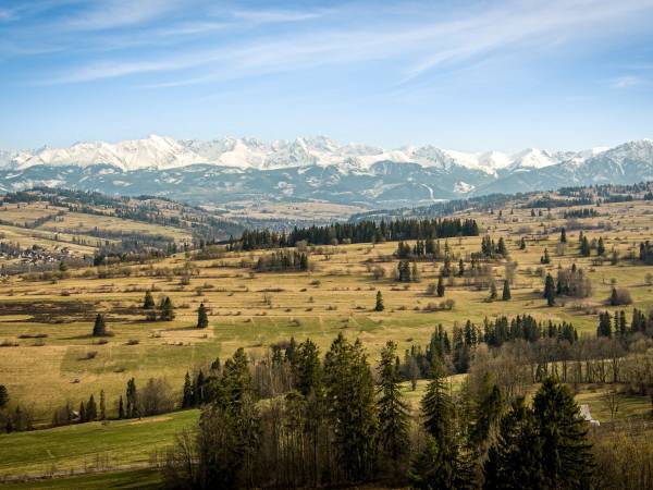 Dworek nad Jałowcami
