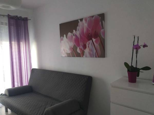 Apartament Platan