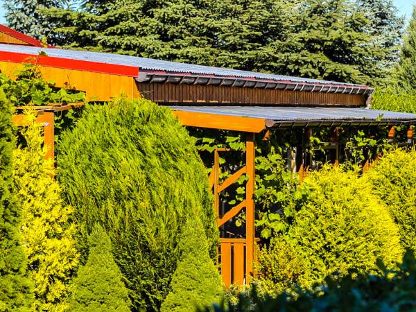 Domki i Pokoje letniskowe Mewa