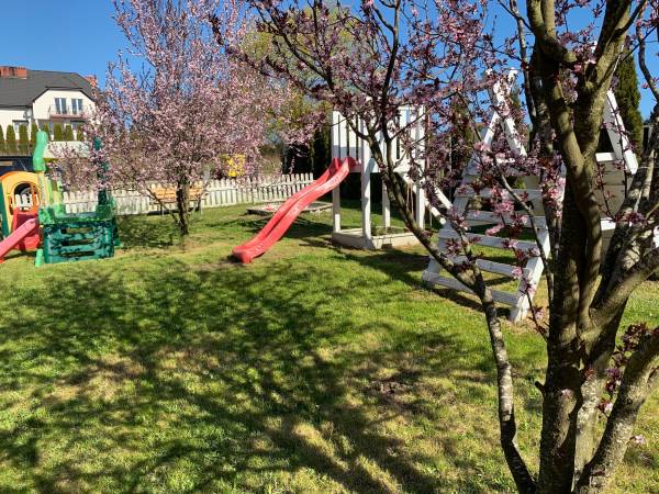 Domki Drewniane Tomasz