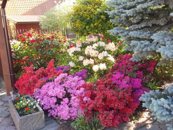 Pokoje Gościnne Zamiejska