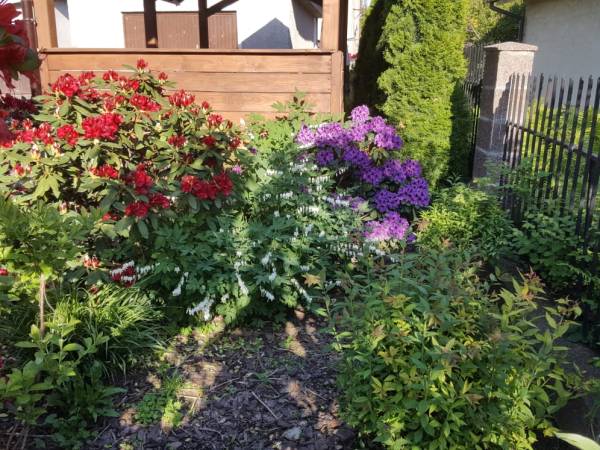 Pokoje Gościnne Zamiejska