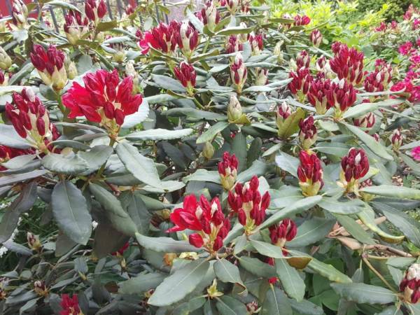 Pokoje Gościnne Zamiejska