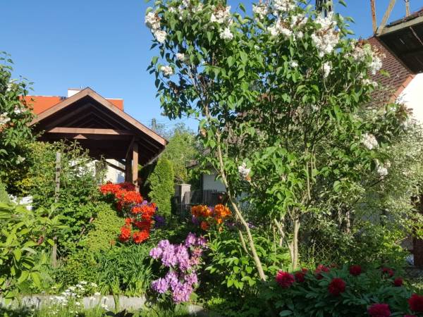 Pokoje Gościnne Zamiejska