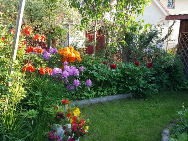 Pokoje Gościnne Zamiejska