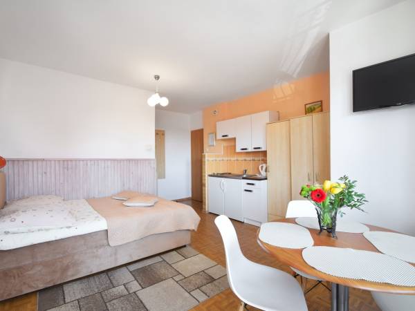 APARTAMENT 2 POK. 4 OSOB. NR.7 z KRYTĄ LOGGIĄ oraz MINI KUCHNIĄ