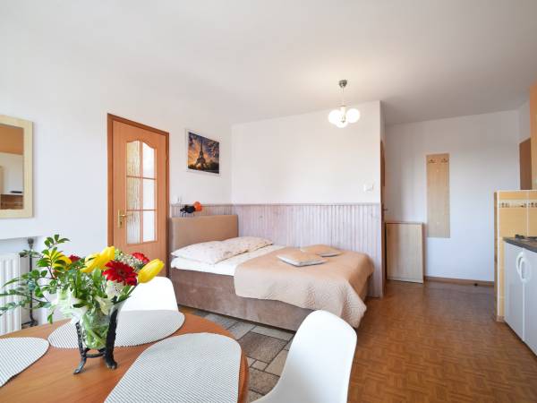 APARTAMENT 2 POK. 4 OSOB. NR.7 z KRYTĄ LOGGIĄ oraz MINI KUCHNIĄ