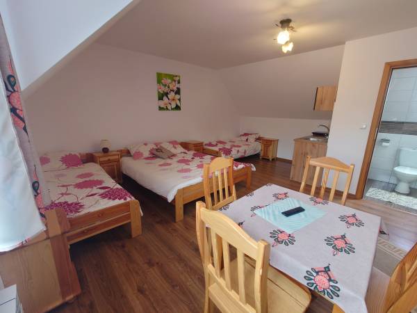 Pokój 4 osobowy z aneksem kuchennym 