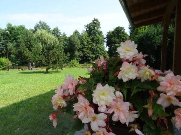 Dębowa Ostoja - domki agroturystyczne nad stawem