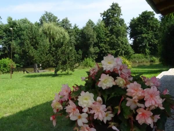 Dębowa Ostoja - domki agroturystyczne nad stawem