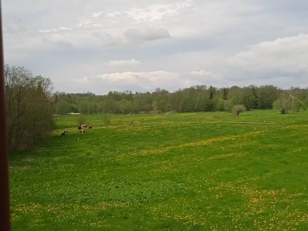 Wypoczynek Pod Skarpą