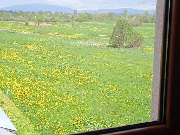 Wypoczynek Pod Skarpą