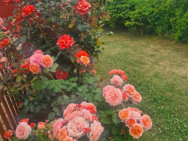 Domki i apartamenty Morska Dolina